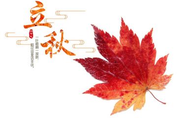 今日立秋，“秋后一伏”