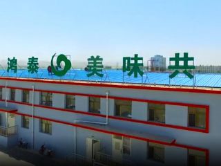 草原粉色视频播放器下载1
