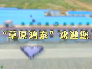 草原粉色视频播放器下载宣传片