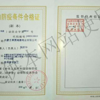 动检证2019